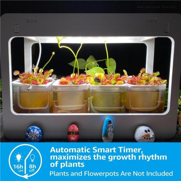 LED Indoor Herb Garden, CRI 95+, Herb Grower Light with Timer, Indoor Gardening - Picture 2 of 5